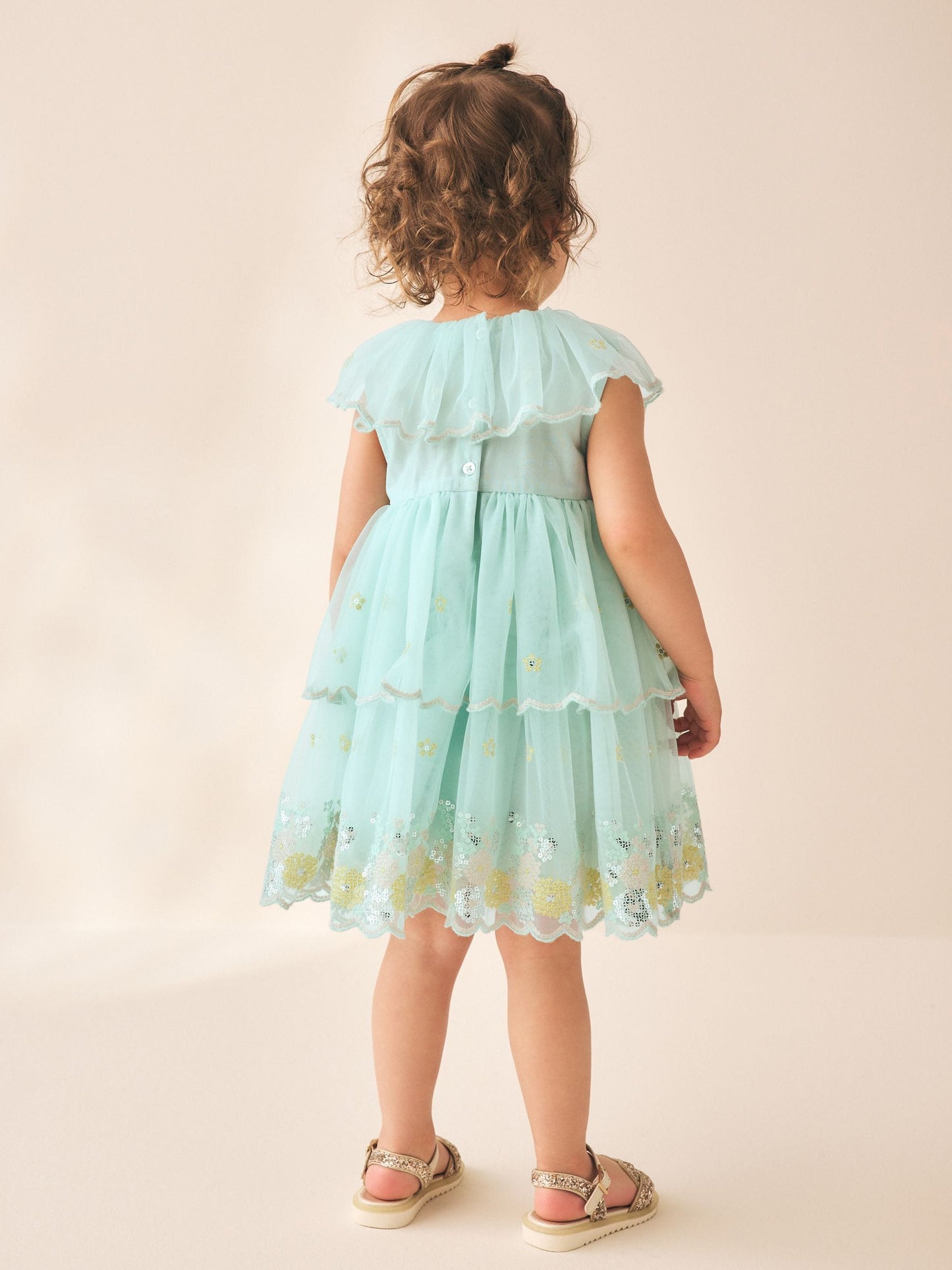 Blue Embellished Mesh Dress (3mths-7yrs) image 3