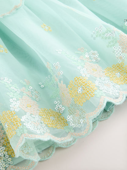 Blue Embellished Mesh Dress (3mths-7yrs) image 8
