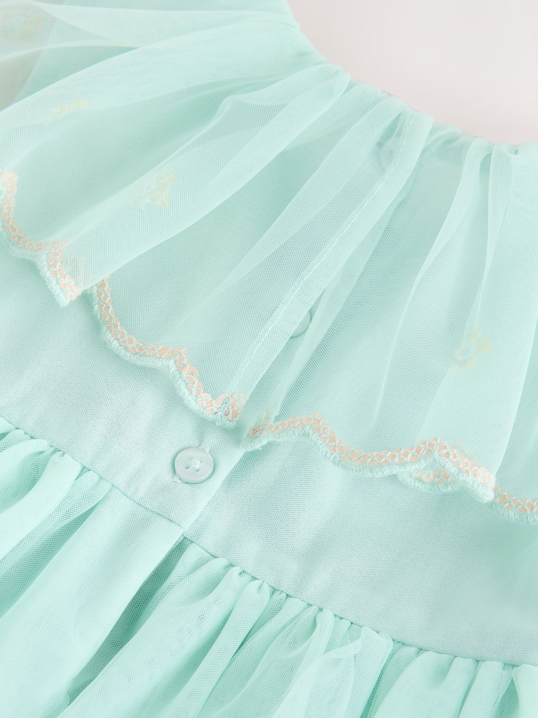 Blue Embellished Mesh Dress (3mths-7yrs) image 9