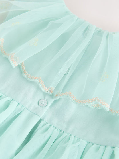 Blue Embellished Mesh Dress (3mths-7yrs) image 9