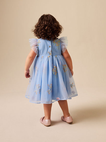 Blue Embroidered Mesh Dress (3mths-7yrs) image 3