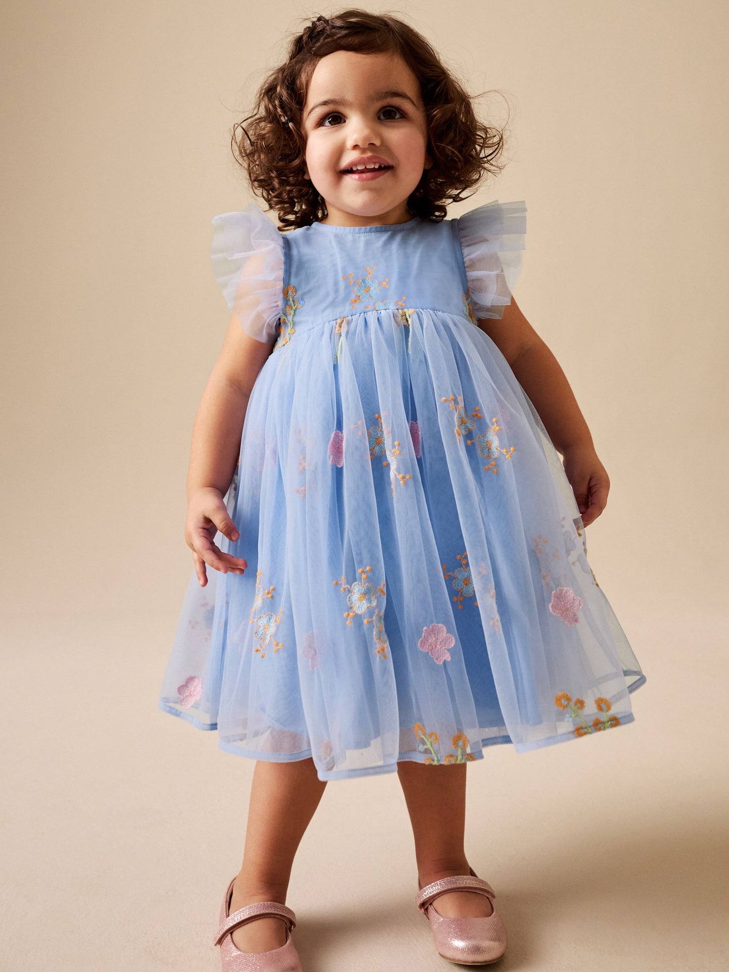Blue Embroidered Mesh Dress (3mths-7yrs) image 4