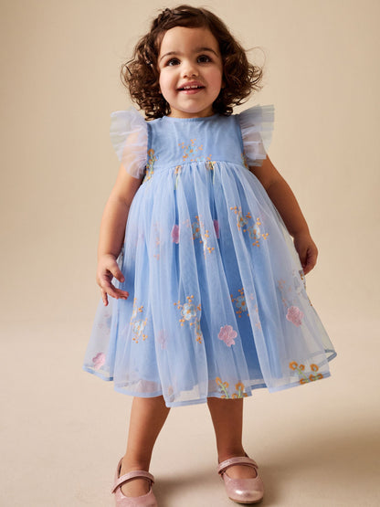Blue Embroidered Mesh Dress (3mths-7yrs) image 4