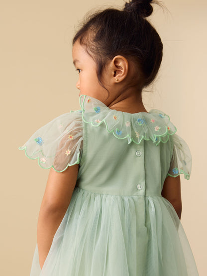 Green Embroidered Mesh Dress (3mths-7yrs) image 4