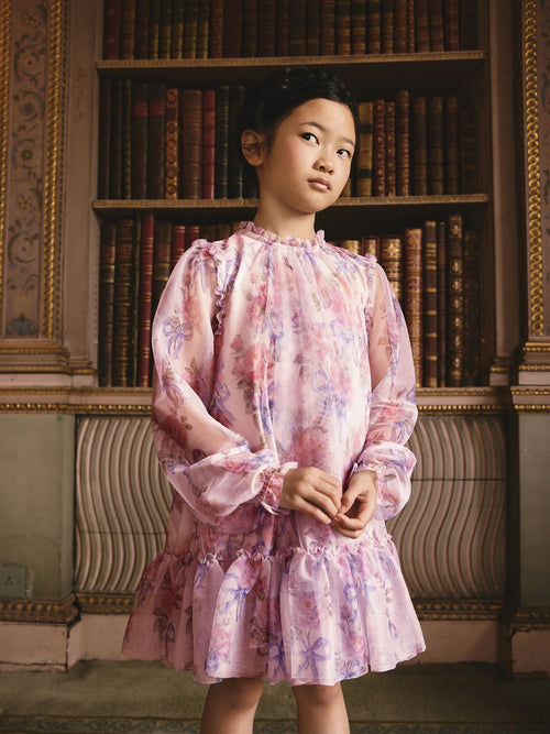 Dsiney Kidz - Pink Bow Floral Long Sleeve Mesh Dress (3-16yrs) image 1