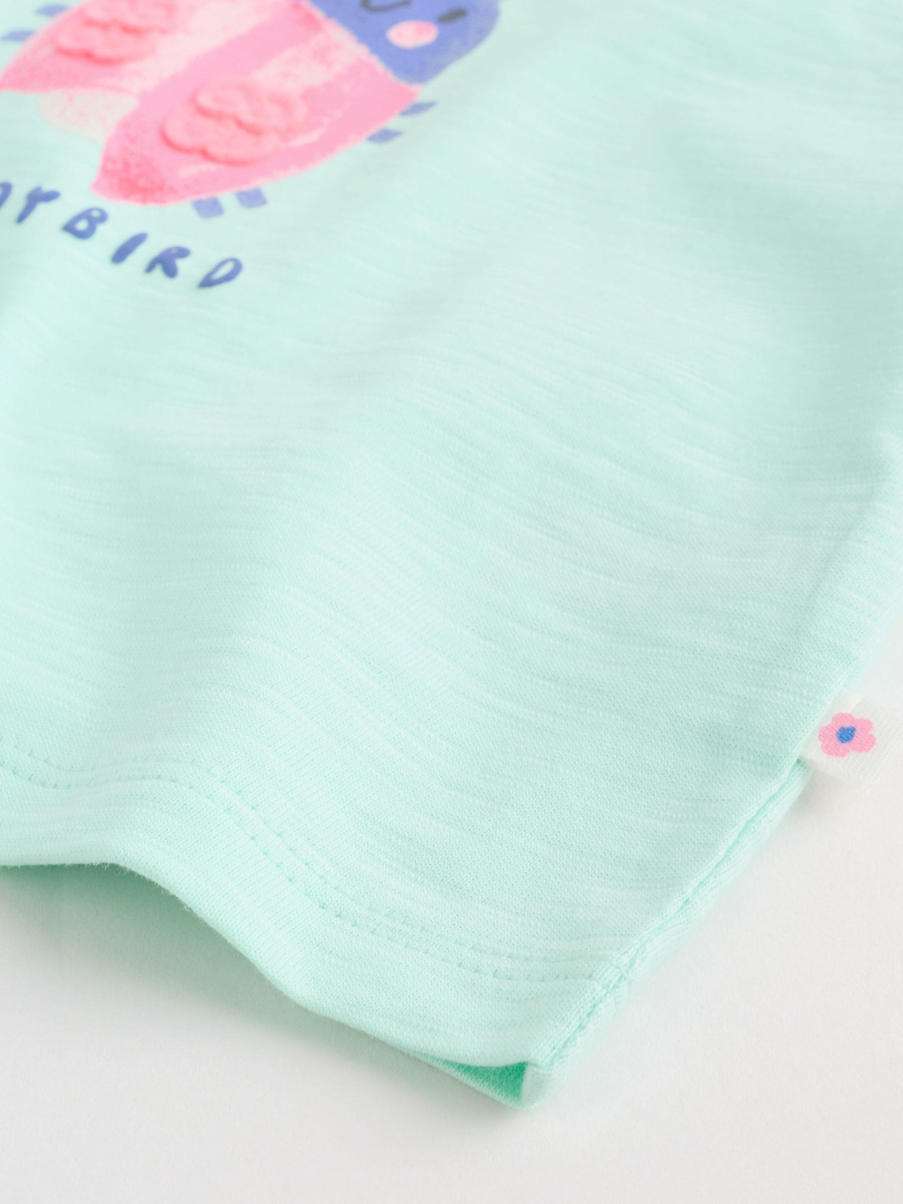 Green Pink Ladybird Short Sleeve Baby Top and Short Set 2 Piece (0mths-2yrs) image 7