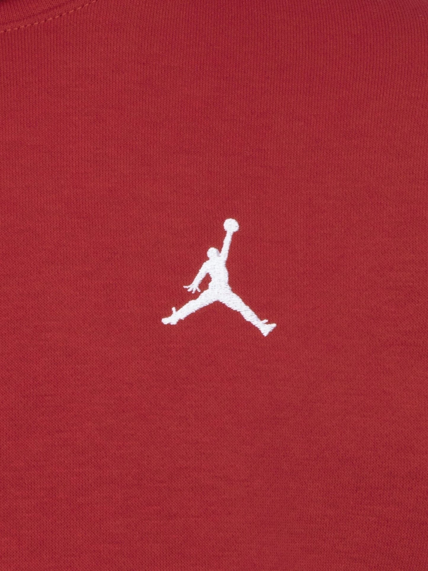 Dsiney Kidz - Jordan Gym Red Brooklyn Overhead Hoodie image 3