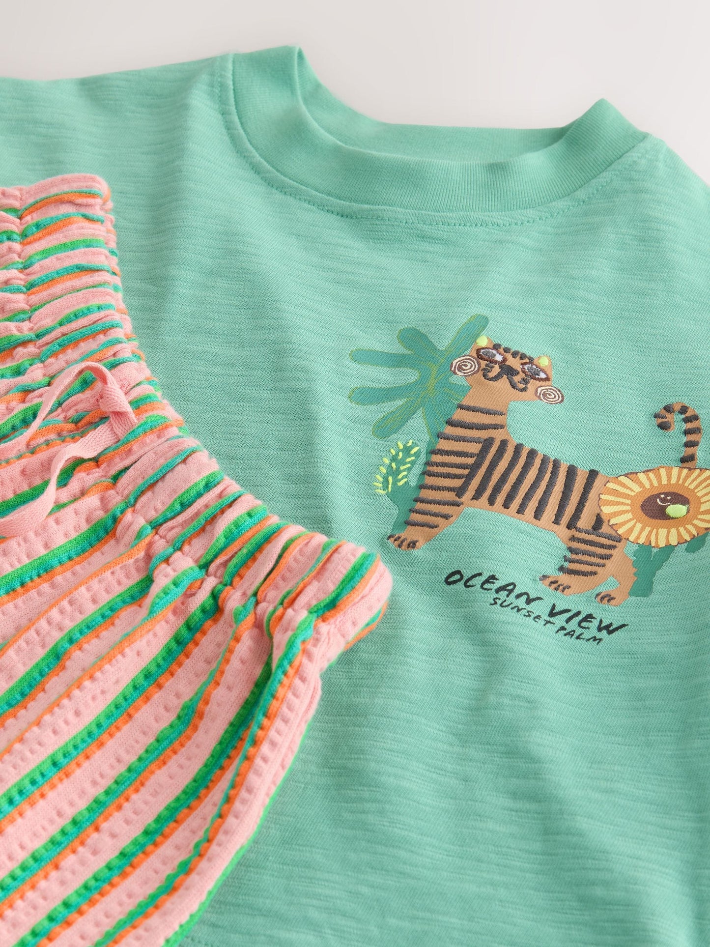 Green Tiger Short Sleeve T-Shirt and Shorts Set (3mths-7yrs) image 8