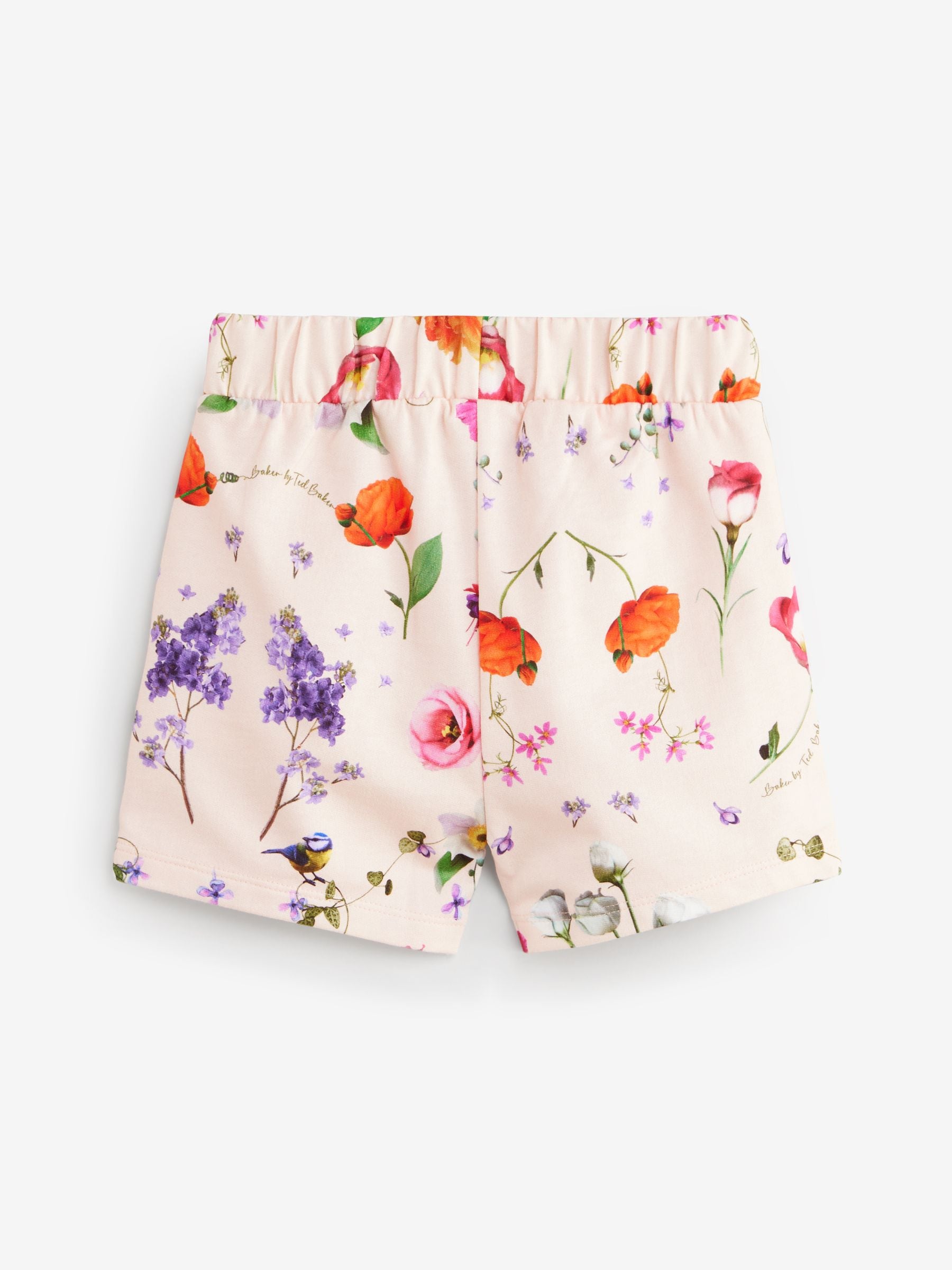 Baker by Ted Baker Multi 100% Cotton Shorts 3 Pack image 4