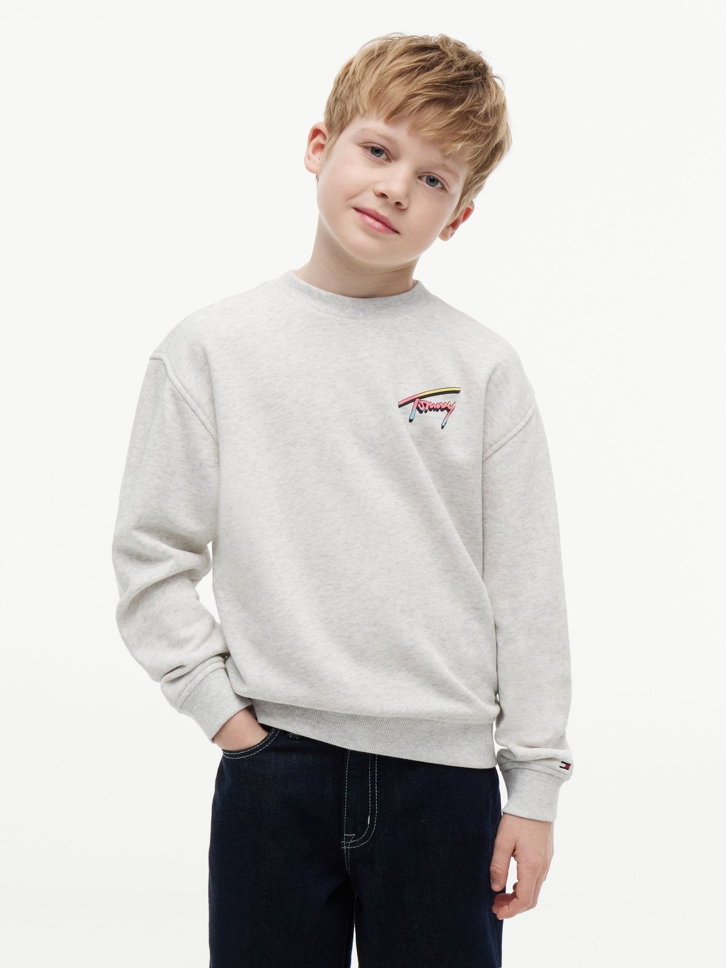 Dsiney Kidz - Tommy Hilfiger Grey Back Logo Graphic Sweatshirt image 1