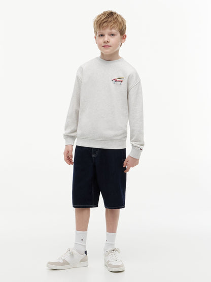 Dsiney Kidz - Tommy Hilfiger Grey Back Logo Graphic Sweatshirt image 3