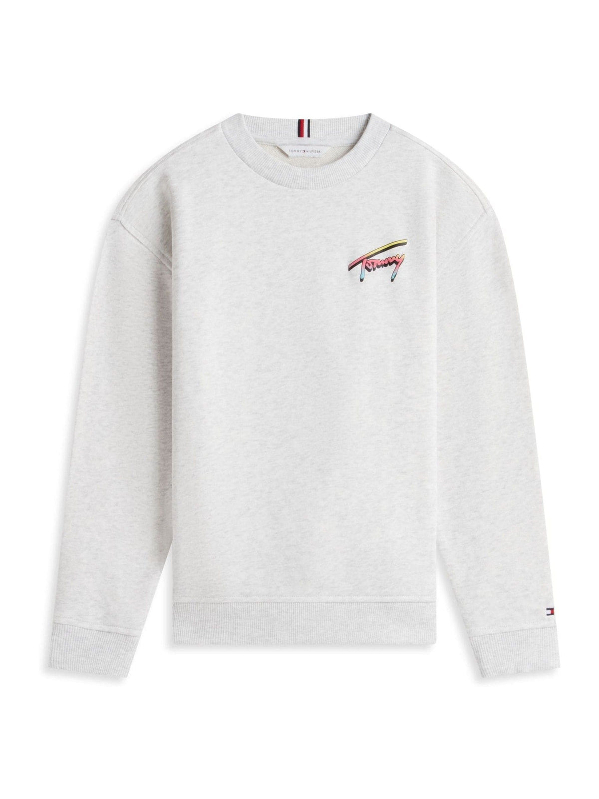 Dsiney Kidz - Tommy Hilfiger Grey Back Logo Graphic Sweatshirt image 5
