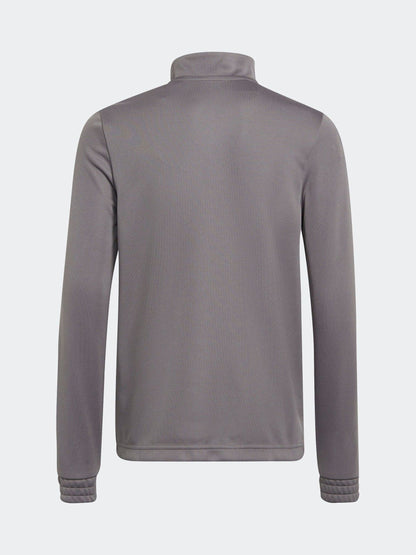 Dsiney Kidz - adidas Grey Entrada 22 Training Top image 2