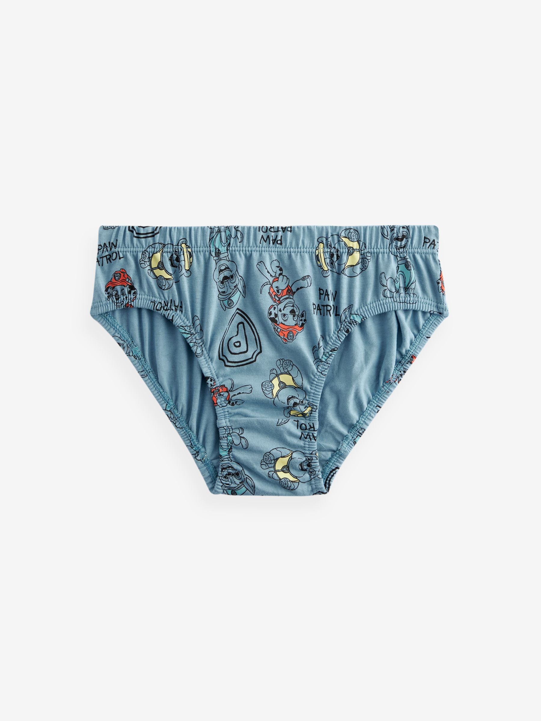 Dsiney Kidz - Paw Patrol Briefs 5 Pack (1.5-8yrs) image 3