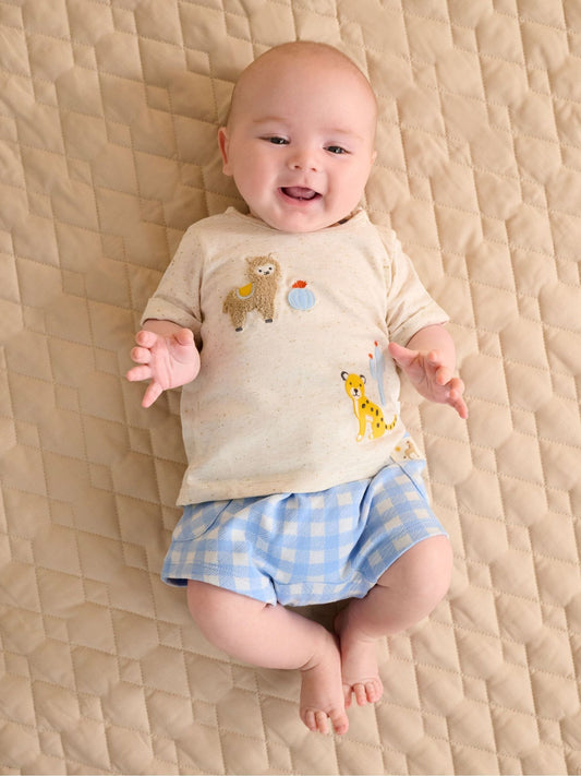 Purebaby Blue Gingham Shorts and T-Shirt Set image 1