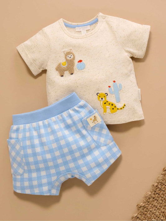 Purebaby Blue Gingham Shorts and T-Shirt Set image 2