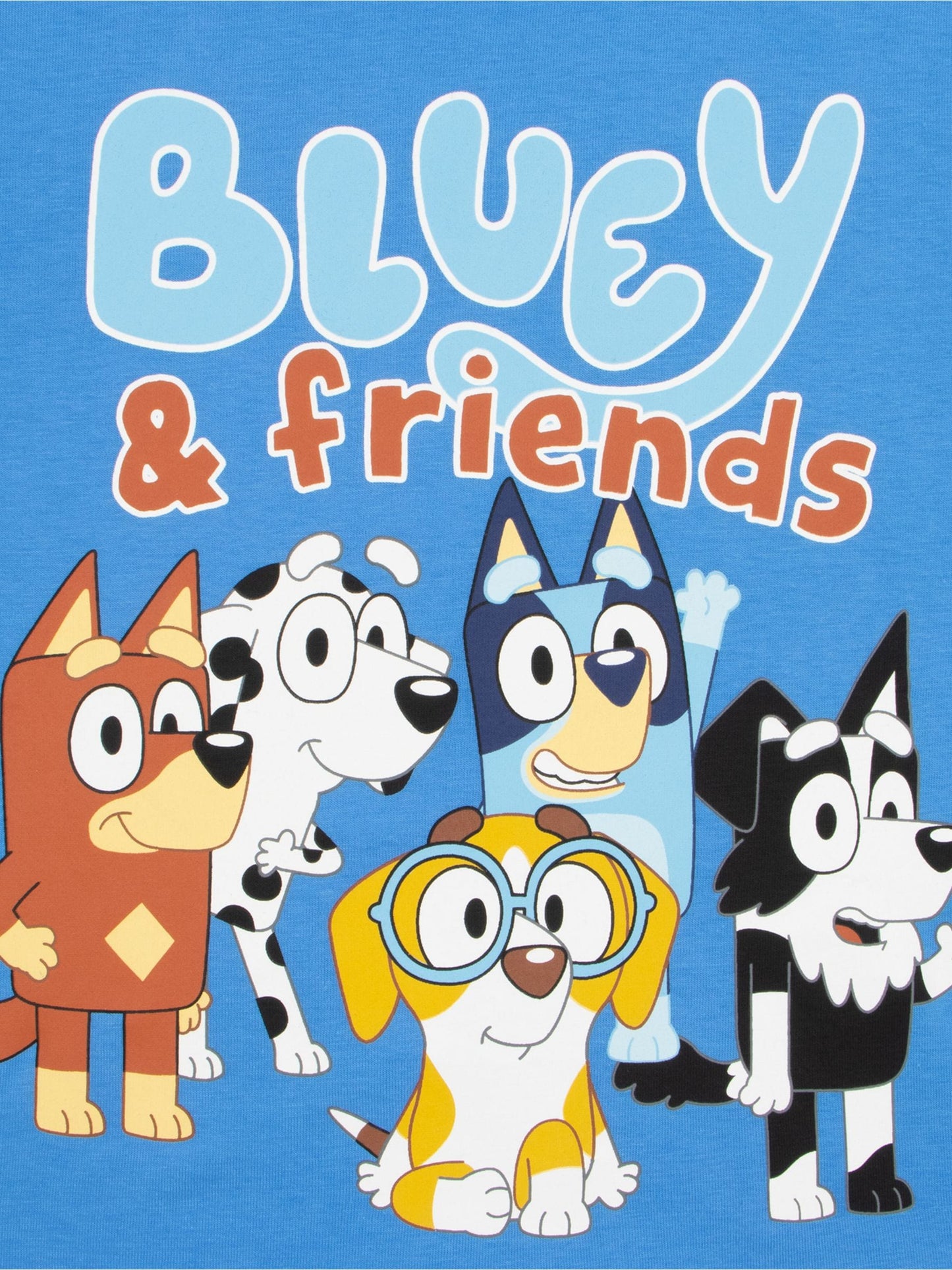 Character Blue 100% Cotton T-Shirt And Shorts Set image 5