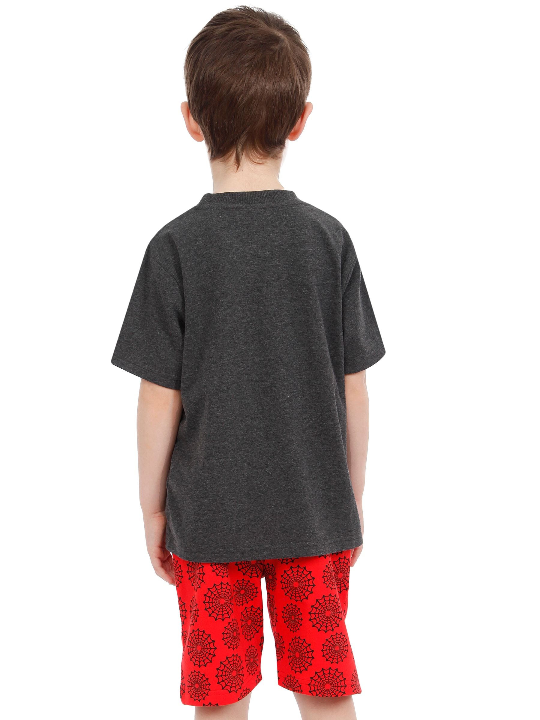 Character Red Spidey and His Amazing Friends T-Shirt & Shorts Set image 2