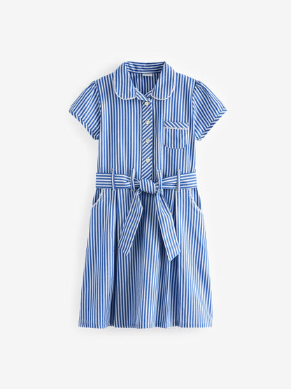 Blue Stripe Cotton Rich Belted School Dress with Scrunchie (3-14yrs) image 7