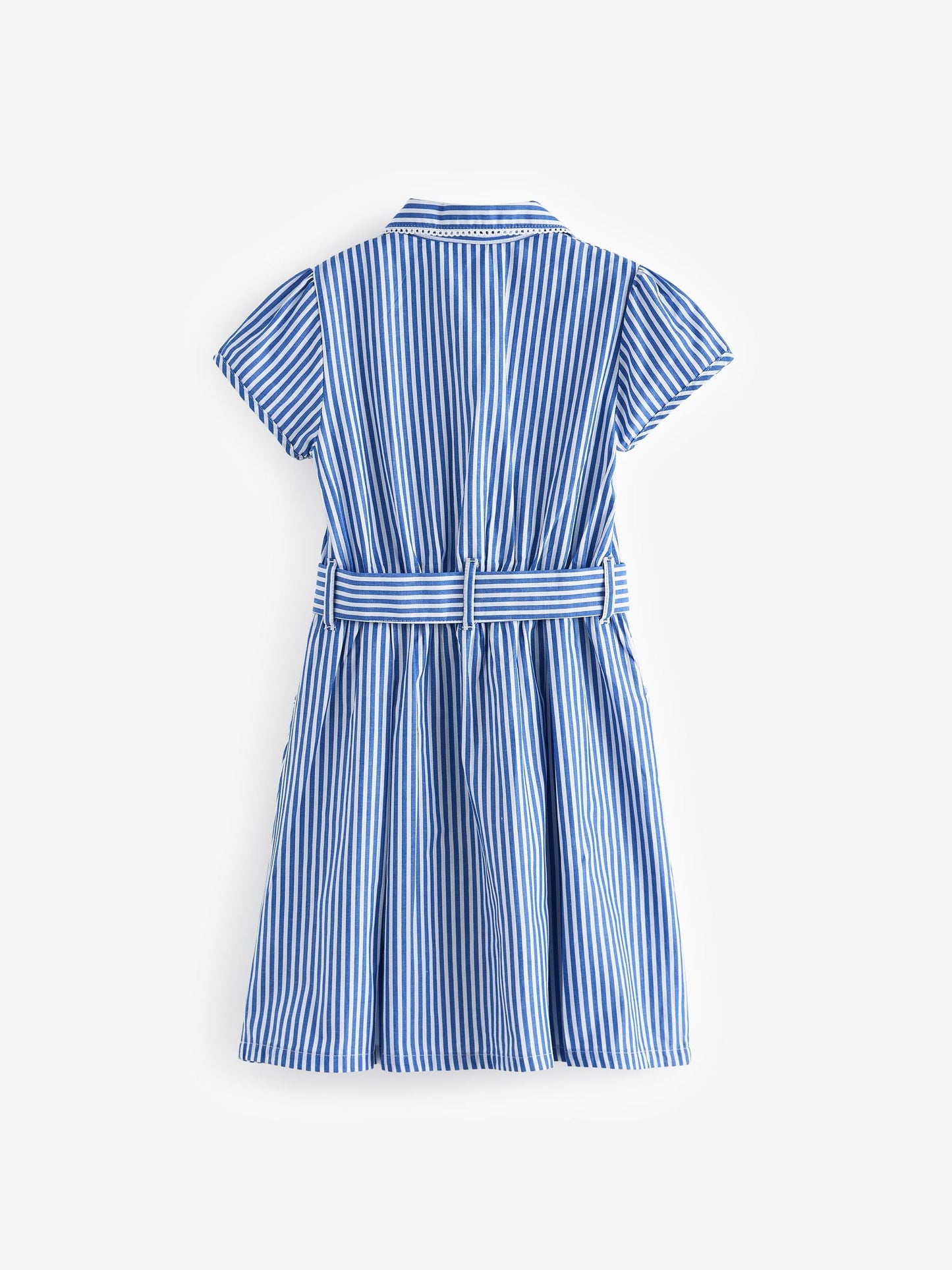 Blue Stripe Cotton Rich Belted School Dress with Scrunchie (3-14yrs) image 8