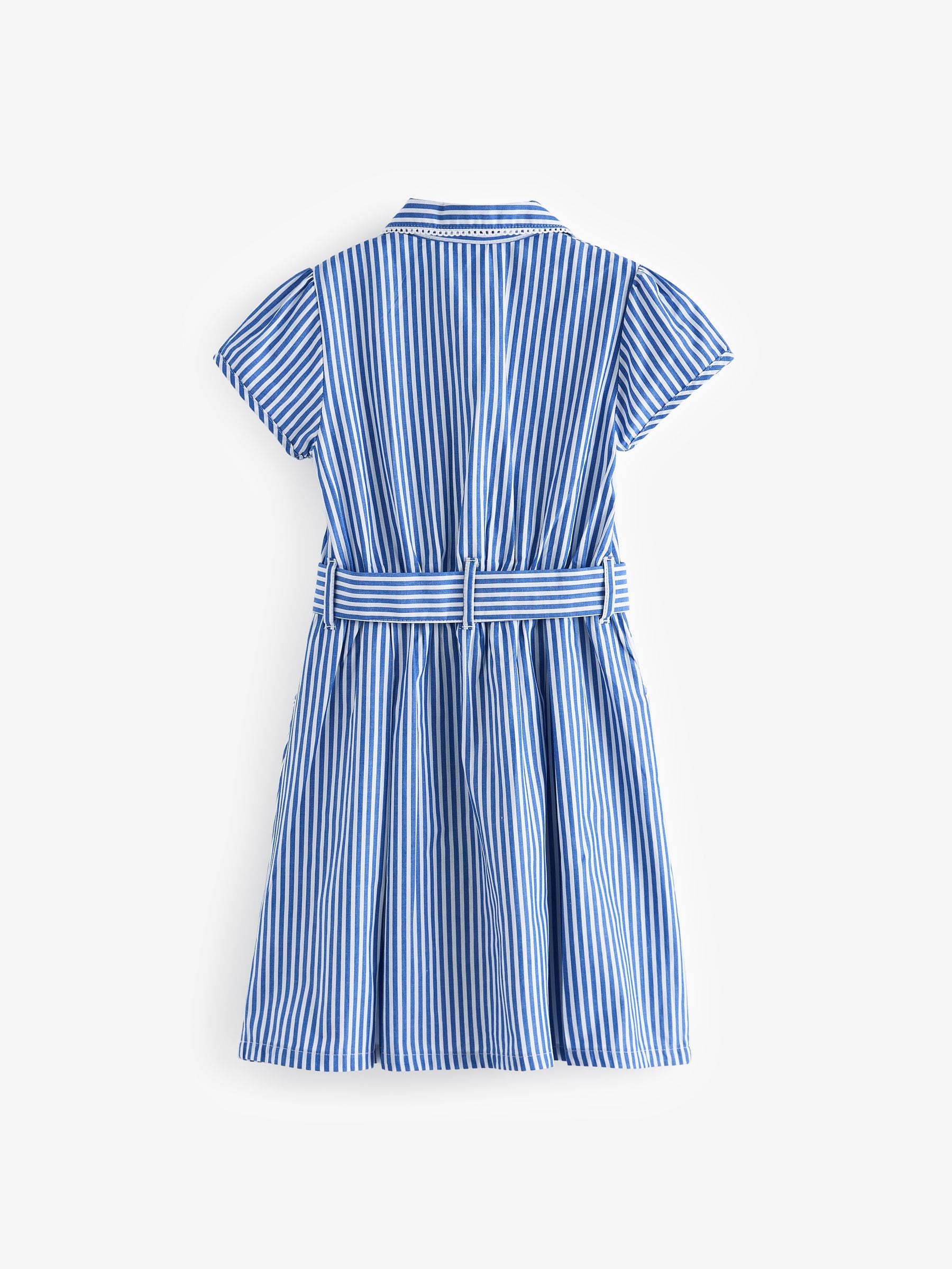 Blue Stripe Cotton Rich Belted School Dress with Scrunchie (3-14yrs) image 8