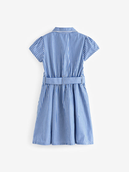 Blue Stripe Cotton Rich Belted School Dress with Scrunchie (3-14yrs) image 8