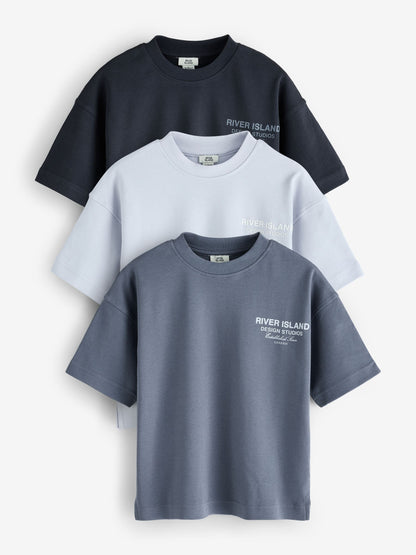 Dsiney Kidz - River Island Brown Branded Back Print T-Shirt 3 Pack image 1