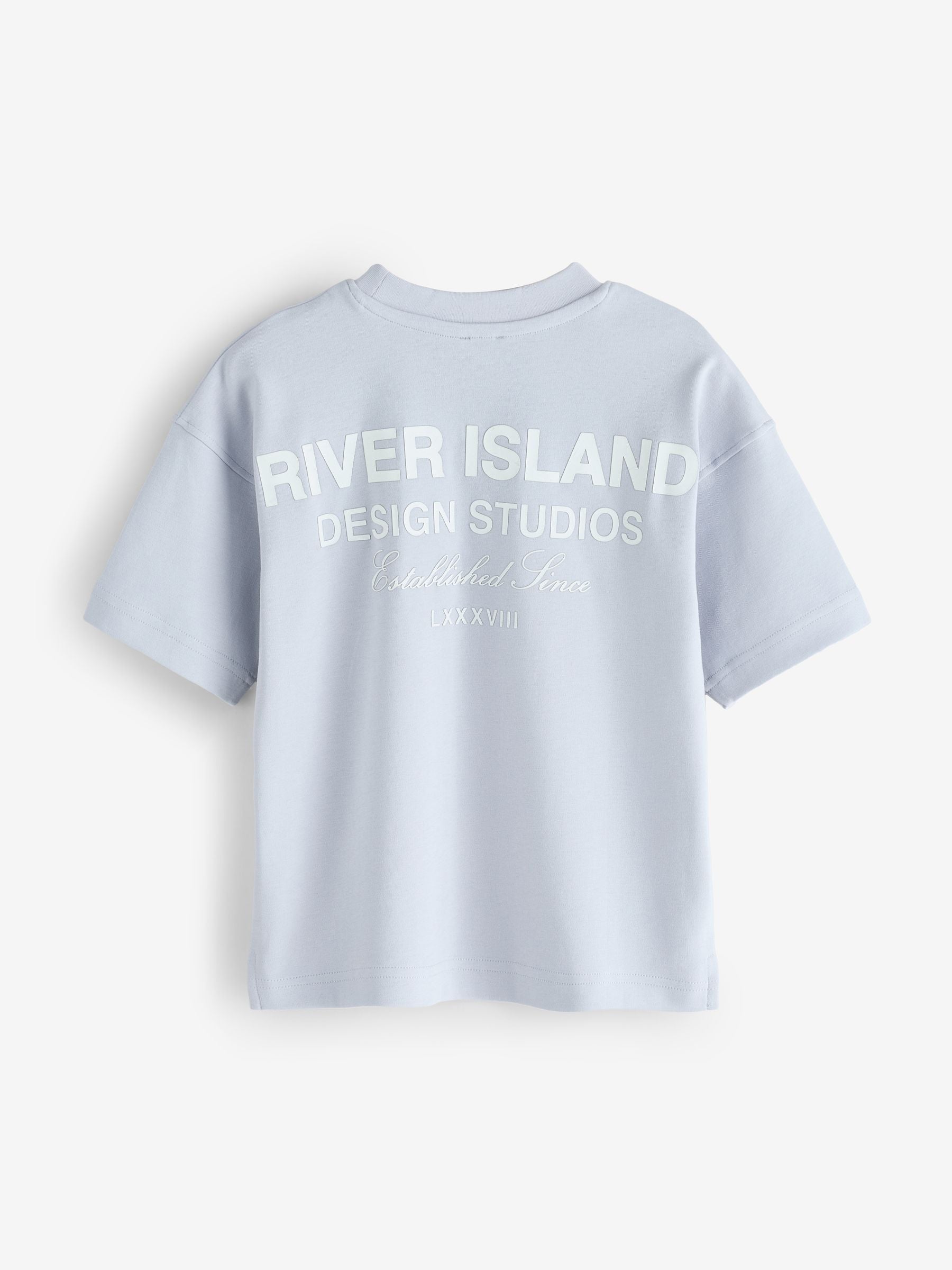 Dsiney Kidz - River Island Brown Branded Back Print T-Shirt 3 Pack image 3