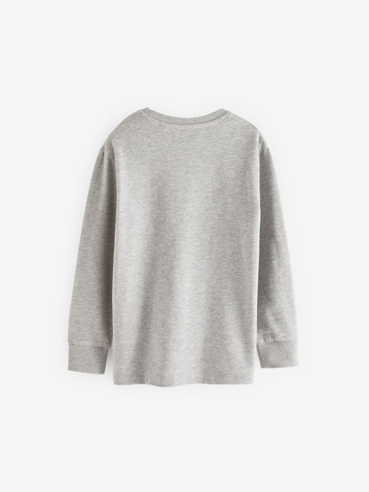Grey Regular Fit Long Sleeve Cosy T-Shirt (3-16yrs) image 2