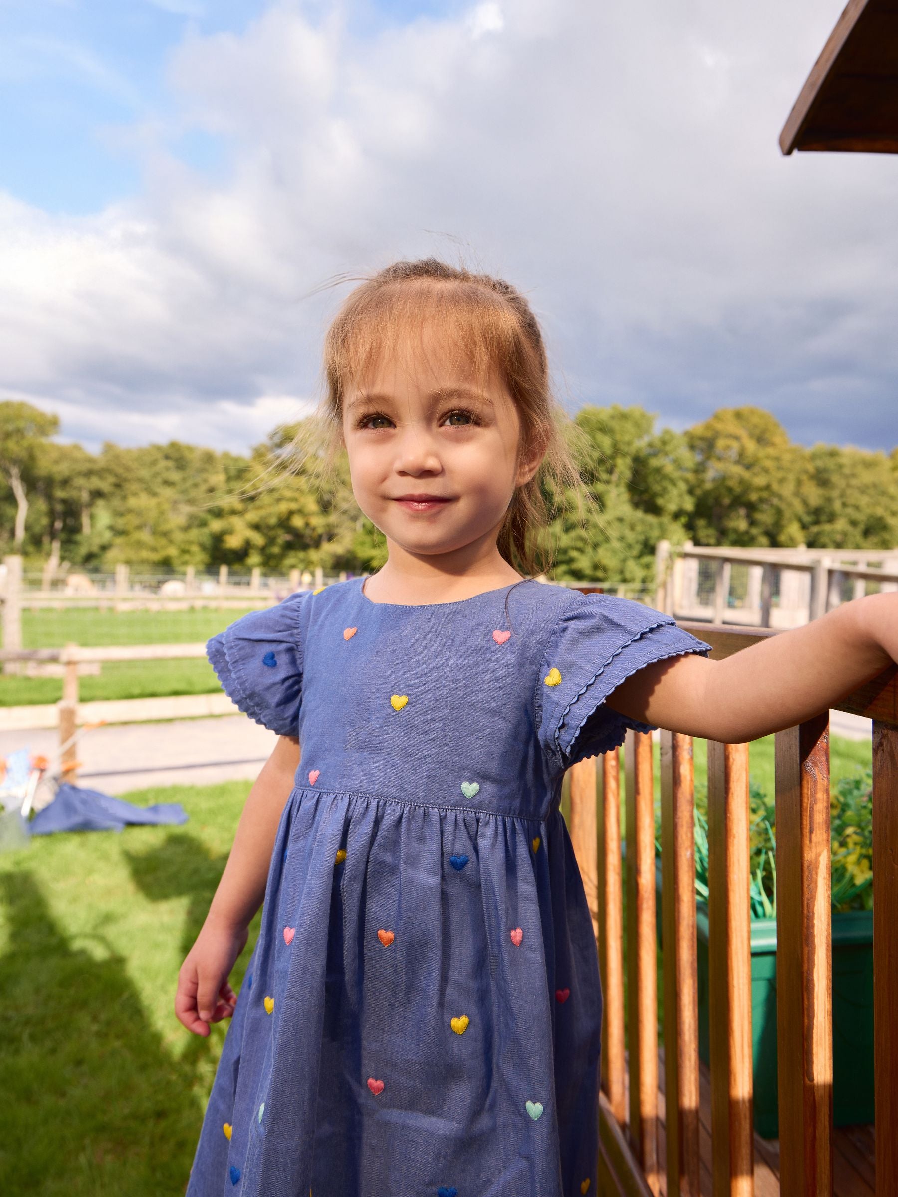 JoJo Maman Bébé Chambray Blue Hearts Embroidered Frill Sleeve Dress image 3