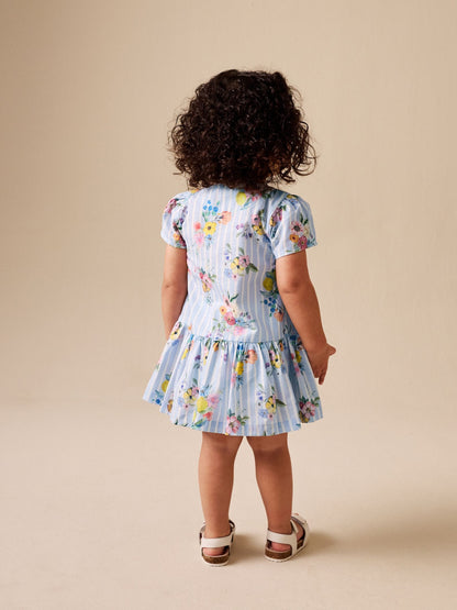 Blue/White Stripe Floral Short Sleeve Cotton Dress (3mths-8yrs) image 2