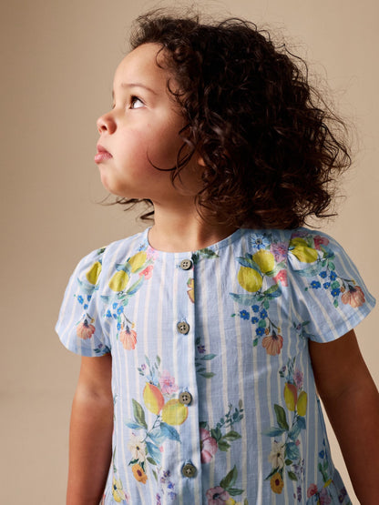 Blue/White Stripe Floral Short Sleeve Cotton Dress (3mths-8yrs) image 3