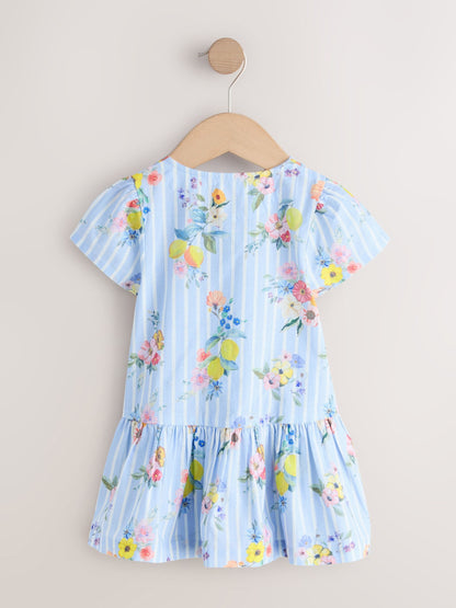 Blue/White Stripe Floral Short Sleeve Cotton Dress (3mths-8yrs) image 5
