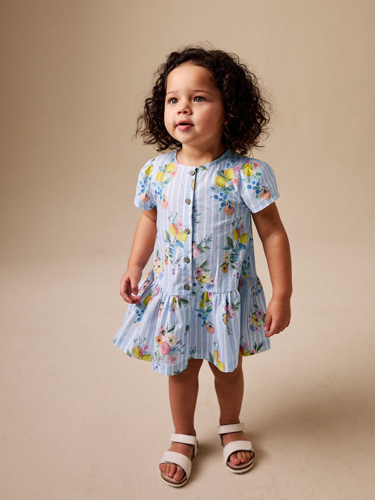 Blue/White Stripe Floral Short Sleeve Cotton Dress (3mths-8yrs) image 1