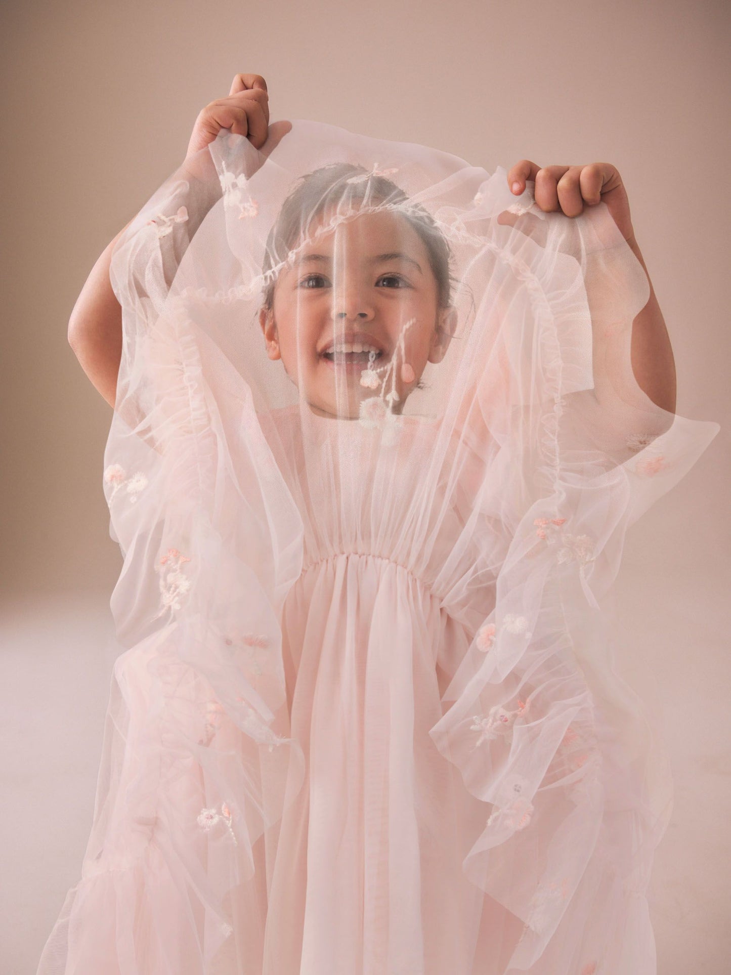 Pastel Pink Embroidered Mesh Occasion Dress (3mths-8yrs) image 4
