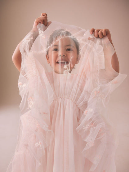 Pastel Pink Embroidered Mesh Occasion Dress (3mths-8yrs) image 4