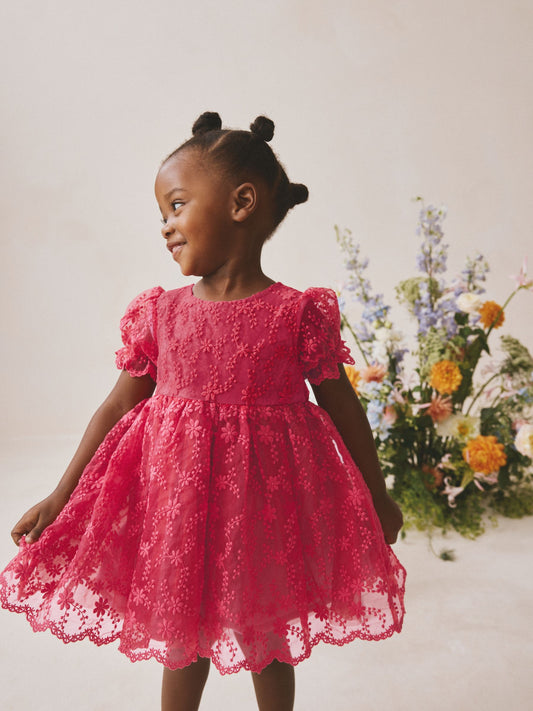Red Embroidered Prom Dress (3mths-8yrs) image 1