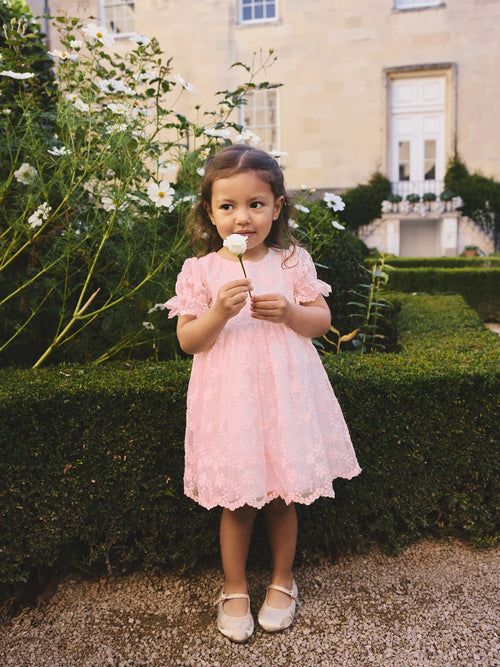Dsiney Kidz - Pastel Pink Embroidered Prom Dress (3mths-8yrs) image 1