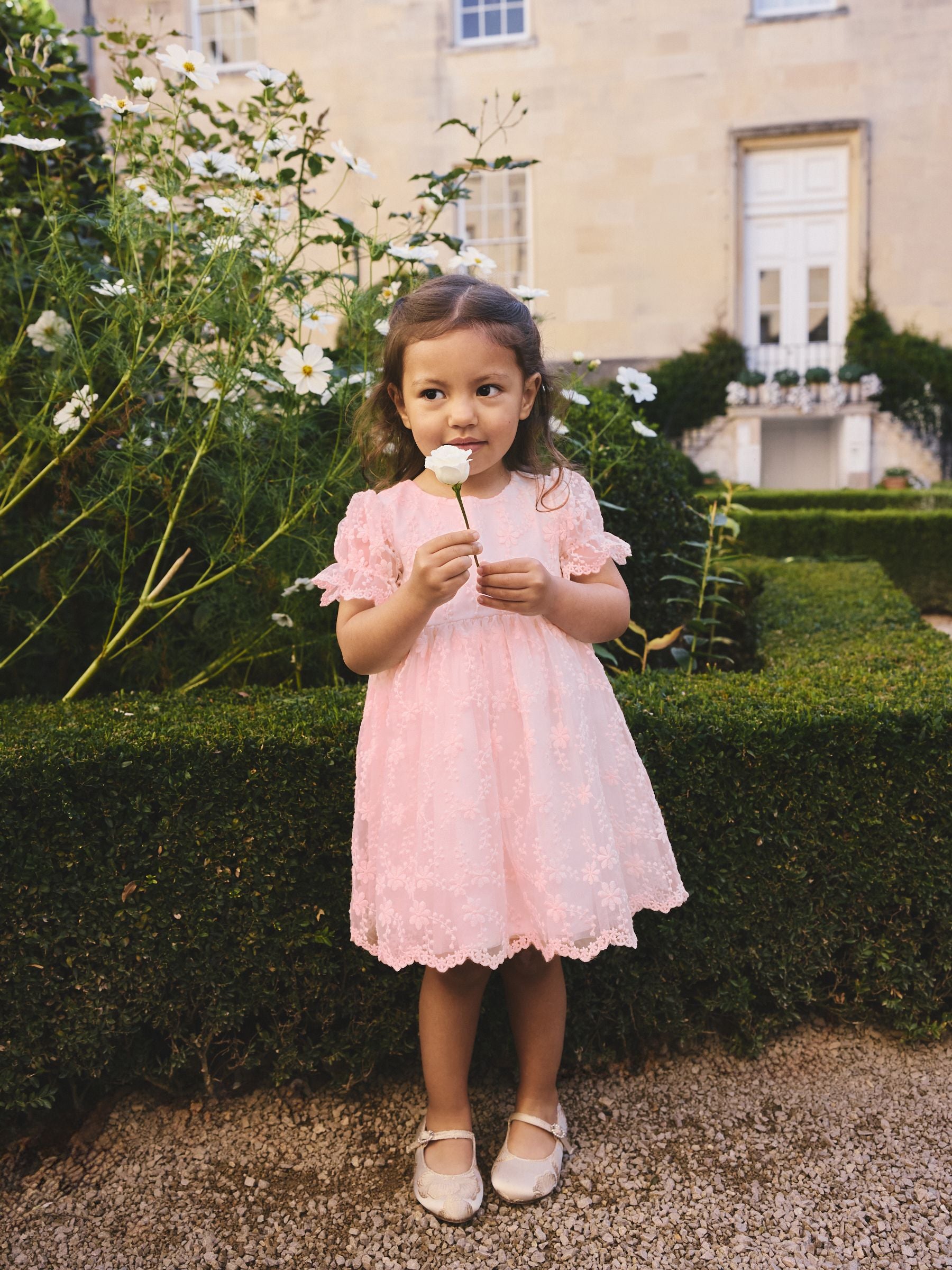 Pastel Pink Embroidered Prom Dress (3mths-8yrs) image 1