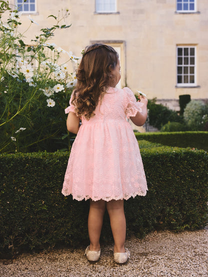 Pastel Pink Embroidered Prom Dress (3mths-8yrs) image 3