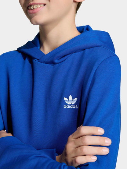 Dsiney Kidz - adidas Originals Blue Blue French Terry Hoodie image 4