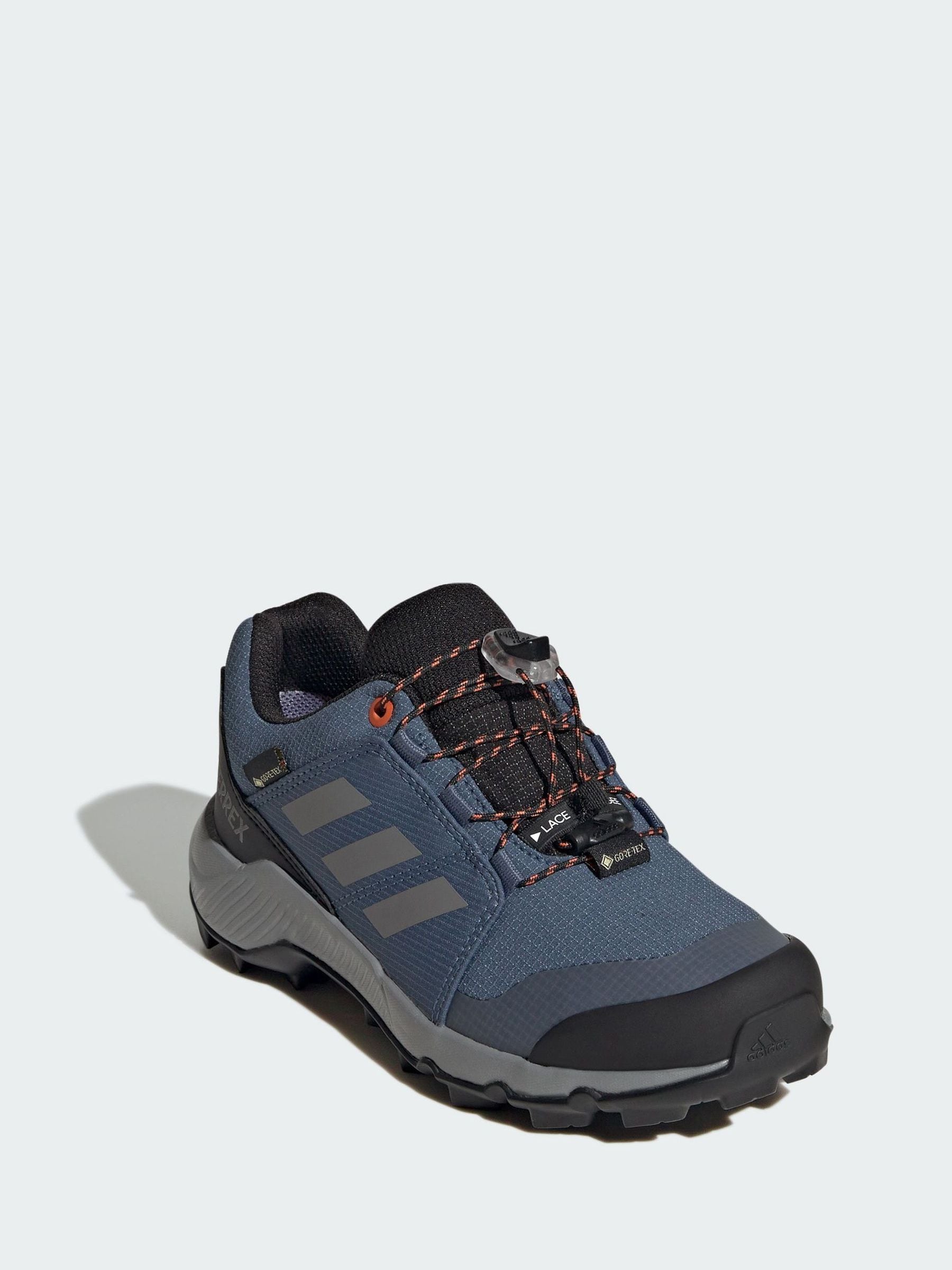adidas Terrex Blue GORE-TEX Hiking Shoes image 1