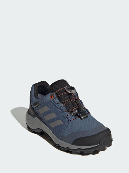 adidas Terrex Blue GORE-TEX Hiking Shoes image 1