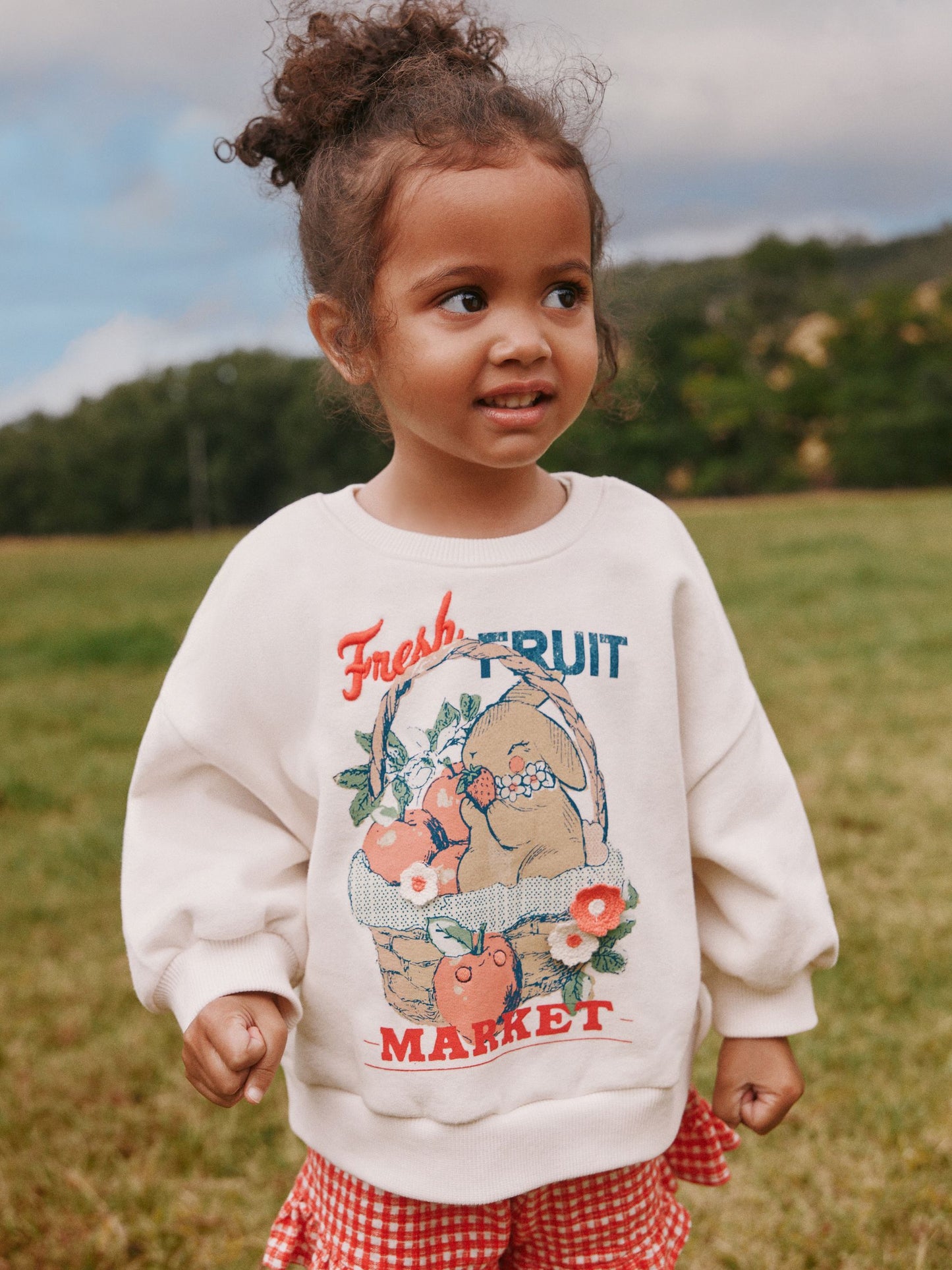 Cream Gingham Fruit Market Crew Neck Sweatshirt & Shorts Set (3mths-7yrs) image 1