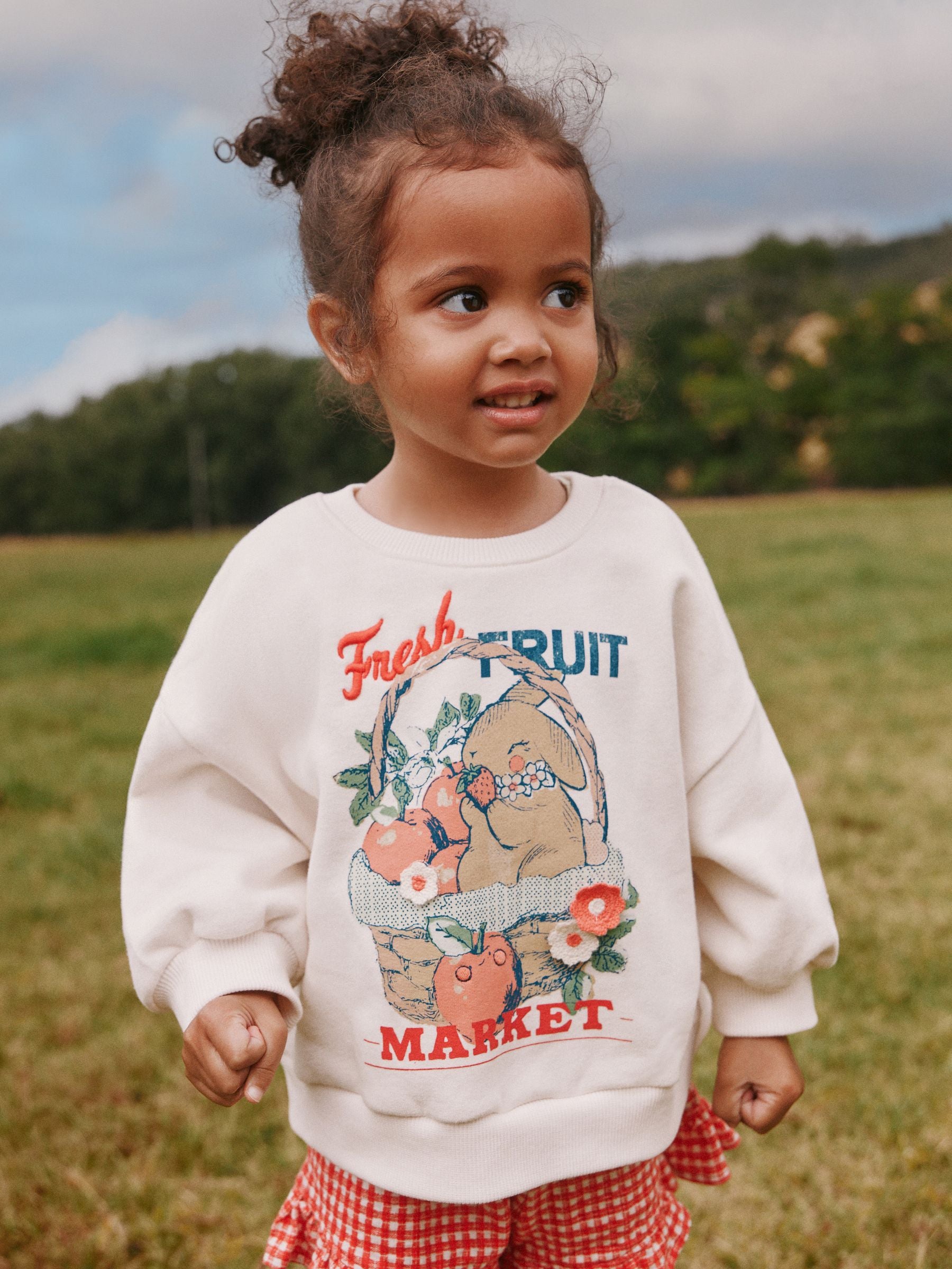 Cream Gingham Fruit Market Crew Neck Sweatshirt & Shorts Set (3mths-7yrs) image 1