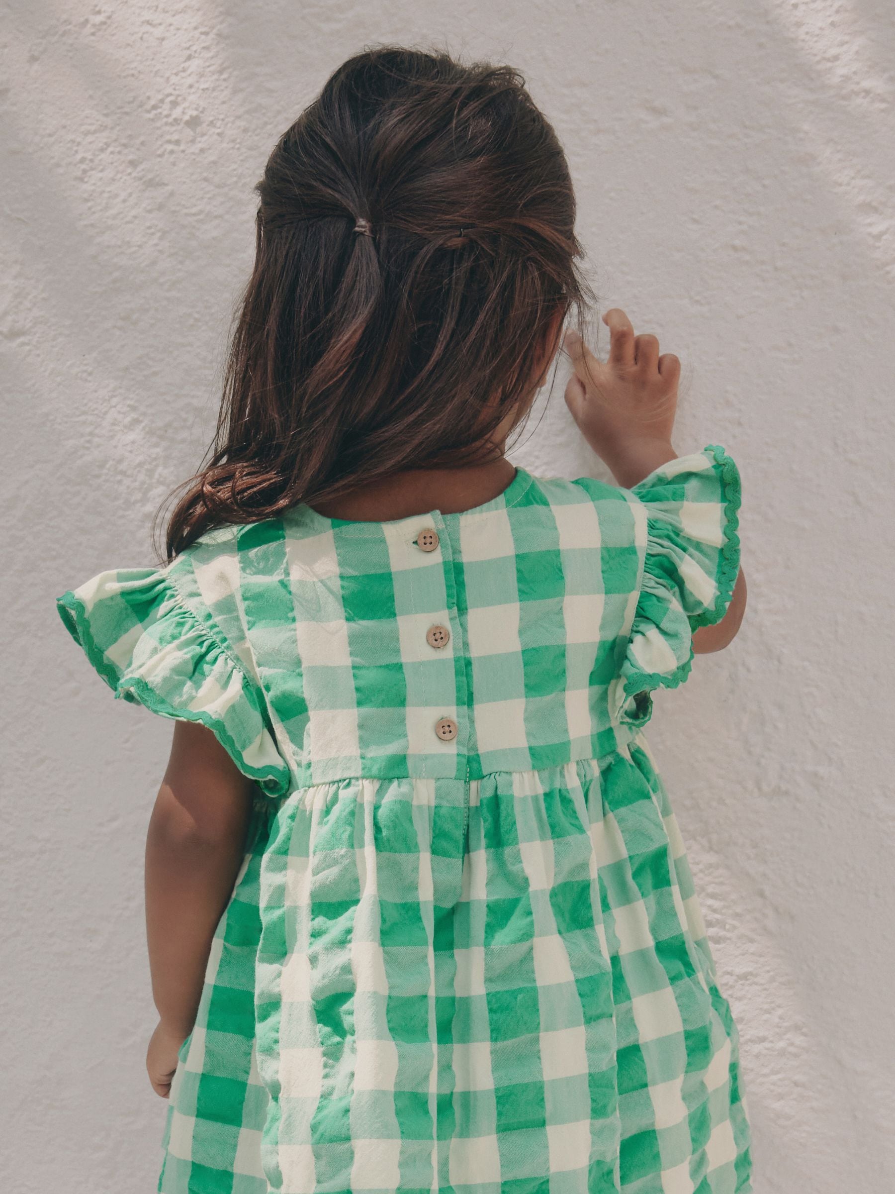 Green Check Ric Rac Frill Sleeve Dress (3mths-8yrs) image 3