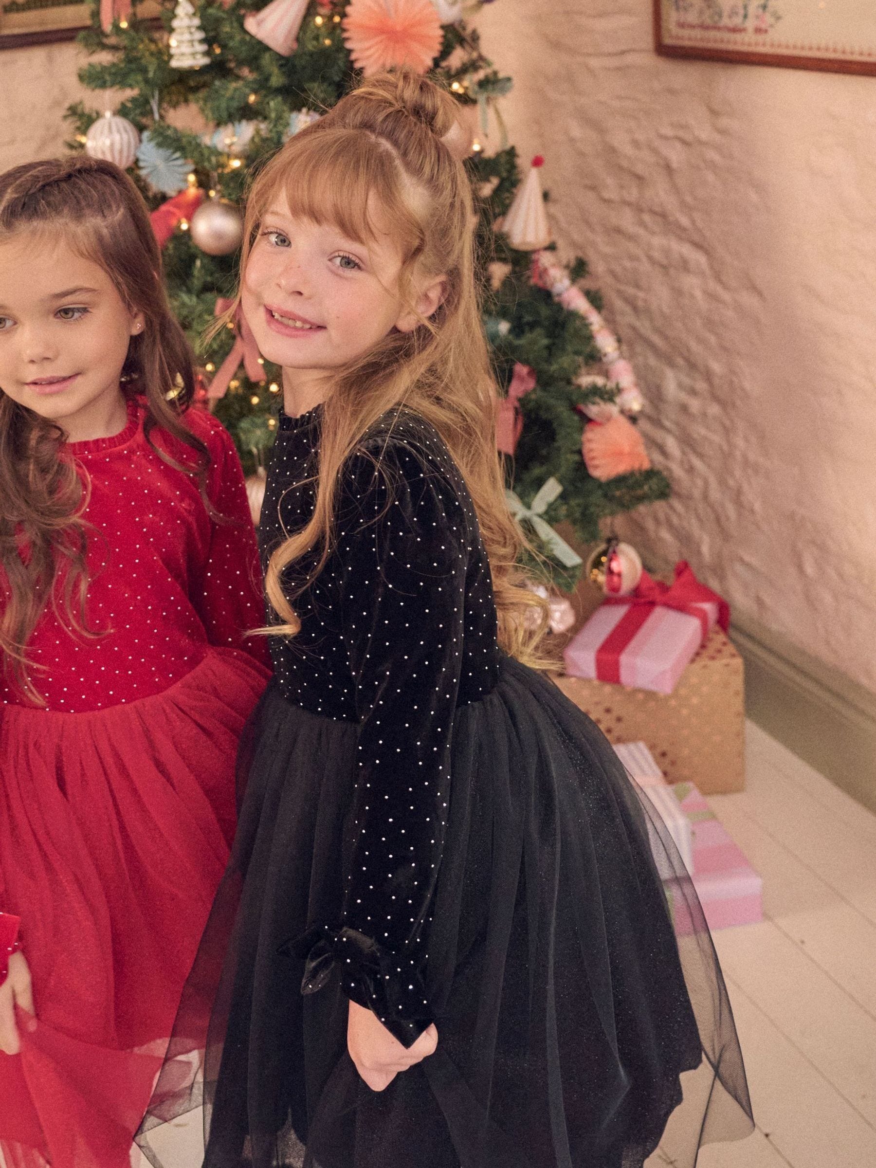 Angel & Rocket Black Elsie Velvet Tulle Dress image 1