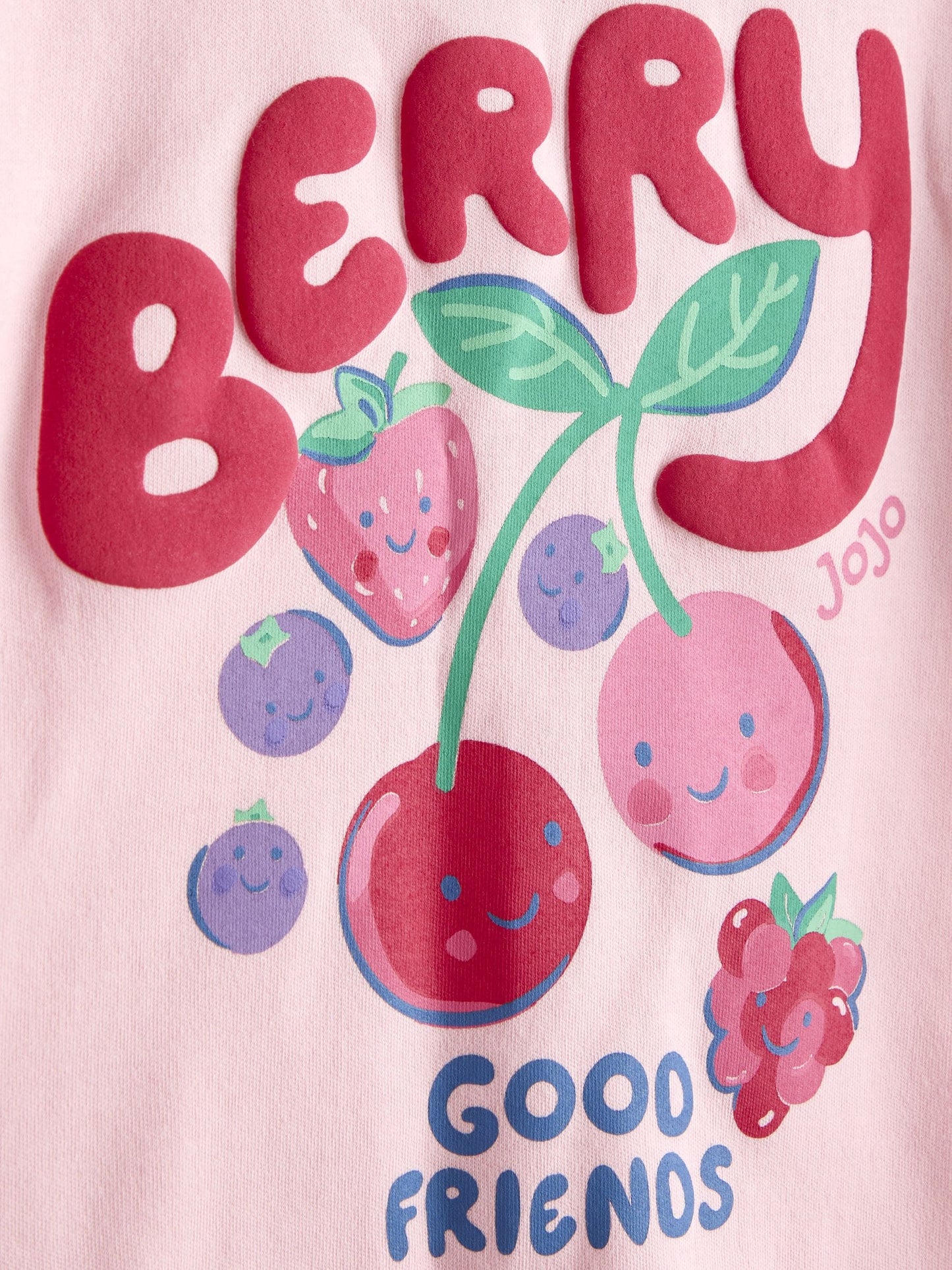 JoJo Maman Bébé Pink Berry Friends T-Shirt & Gingham Short Set image 6