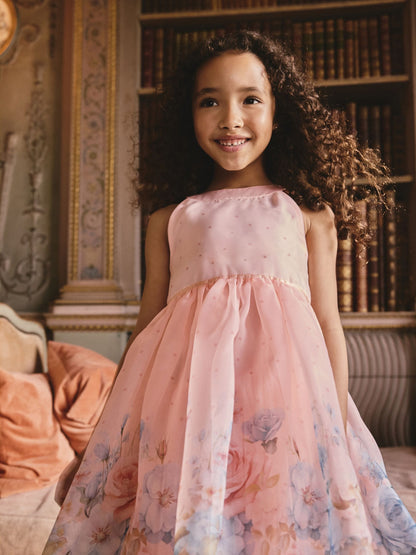 Pink Floral Sleeveless Occasion Dress (3-16yrs) image 1