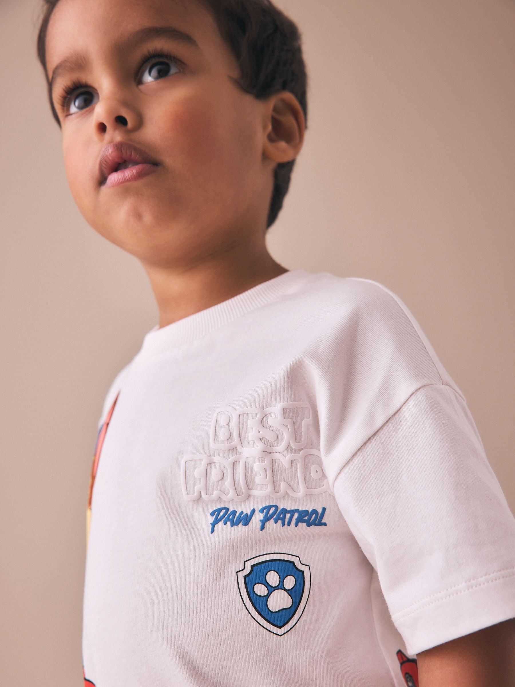 Grey Paw Patrol Short Sleeve T-Shirt (9mths-8yrs) image 3